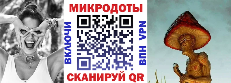 Купить где  Дальнереченск  Псилоцибиновые грибы GOLDEN TEACHER 